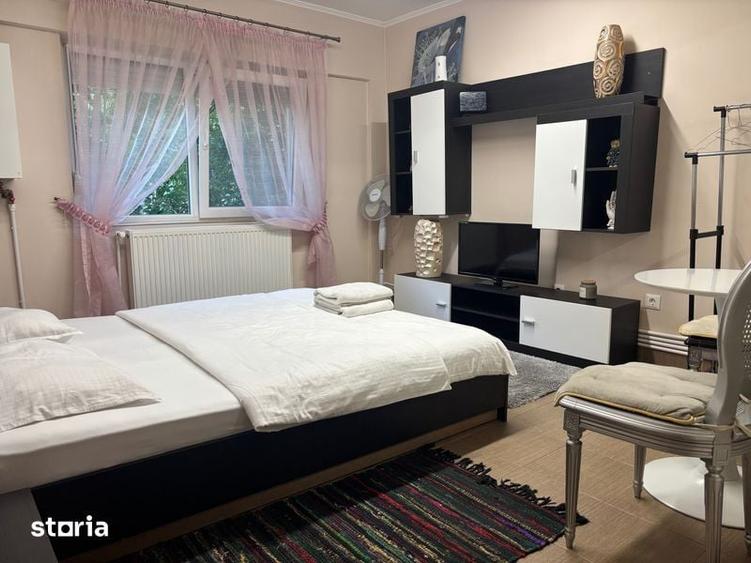 Garsonieră în Carpați 2