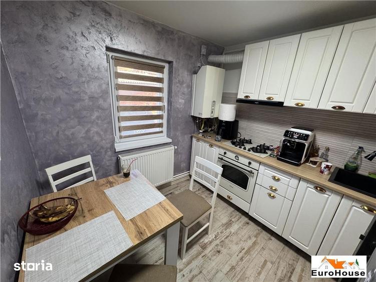 Apartament 2 camere, parter, mobilat, Cetate - 6