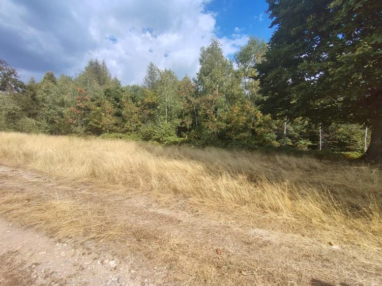 Teren Construcții extravilan de 8000 mp, în Central