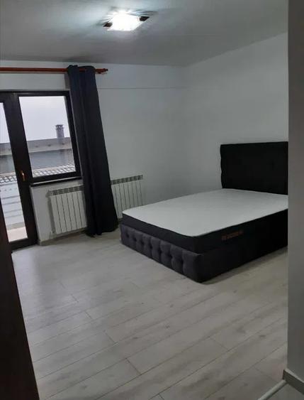 APARTAMENT 1 CAMERA, ETAJ 2/3, BLOC NOU, MOBILAT SI UTILAT, POPAS PACURARI - 1