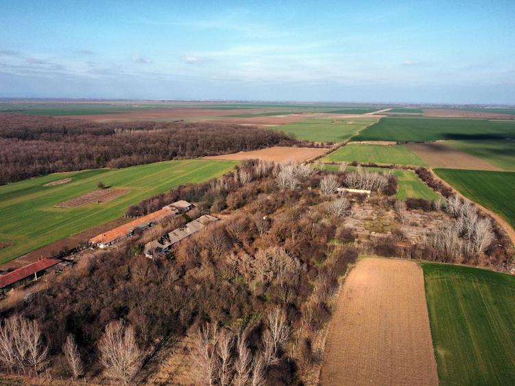 Teren Construcții intravilan de 70291 mp, în Micșunești-Moară