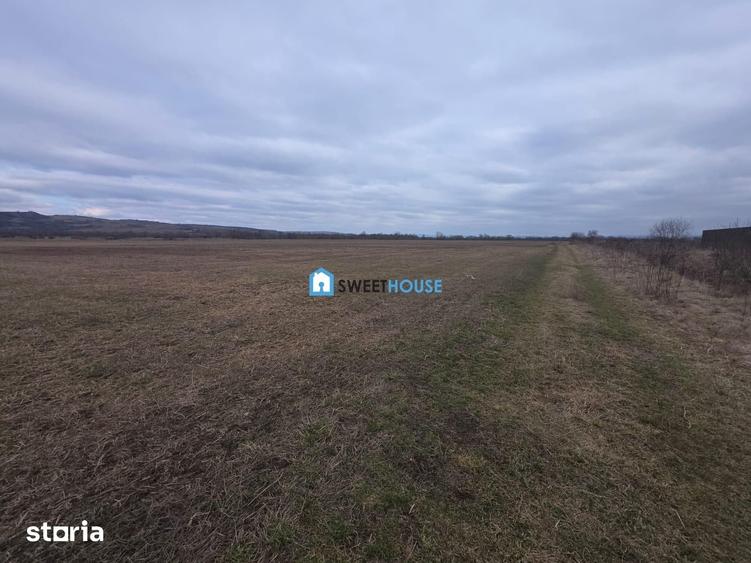 Teren de 20200 mp, în Central