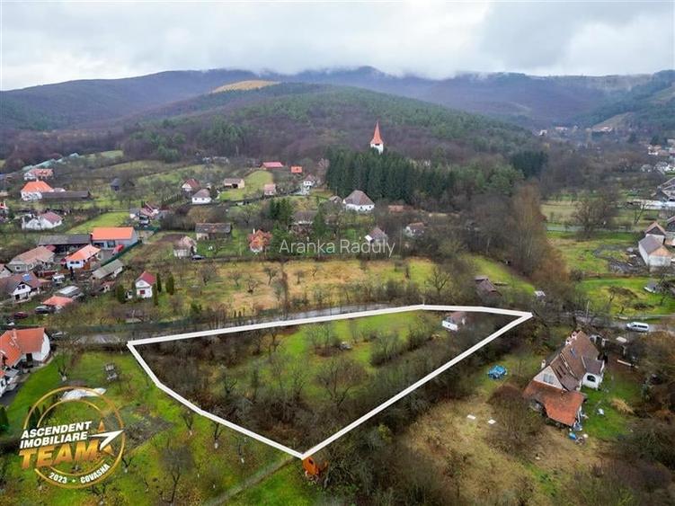 FILM! Teren intravilan 3.042 mp cu casuta, in pitoreasca aria din Bicfalau