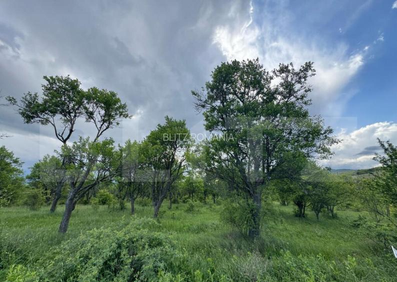 Teren extravilan de vanzare, 5305 mp, in apropiere de Ha?eg