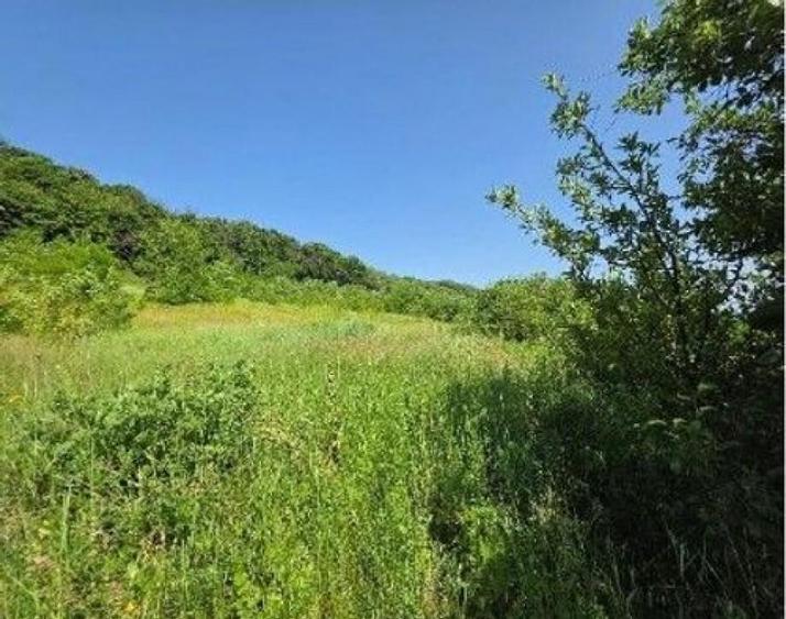 Teren Duda Epureni, ID: R2609594 - 6