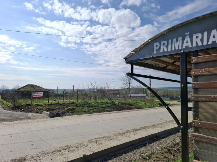 Teren 1662MP Potangeni, comuna Movileni, deshidere mare!!! - 5