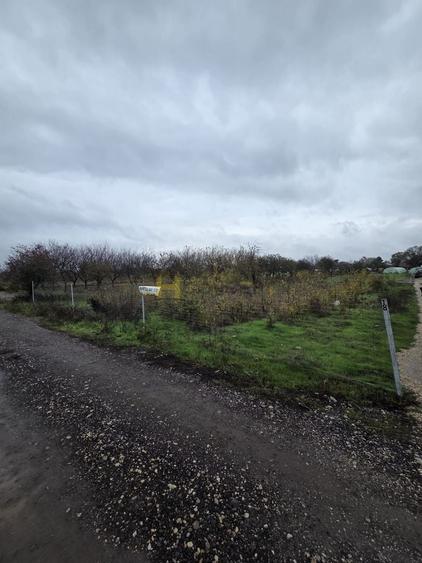 Teren Aleea Viilor Adunatii Copaceni - 3