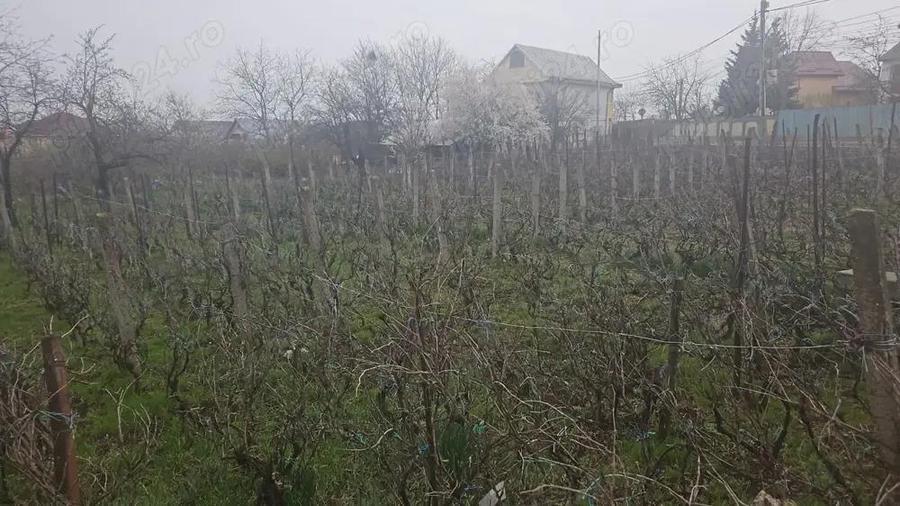 De vanzare: Teren 15.000 mp cu vila Galata, Strada Podi?ului - 2