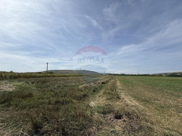 Teren Investitii 8600 mp | Zona Tetarom III Rascruci - 5