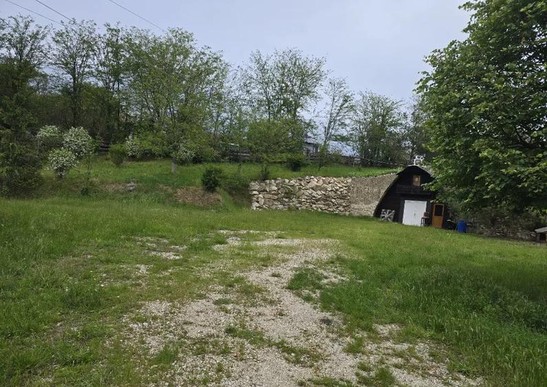 Proprietate Beharca teren 38464mp - 4