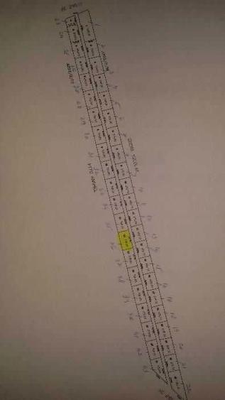 Teren Tamasi - Corbeanca - 700mp - 2