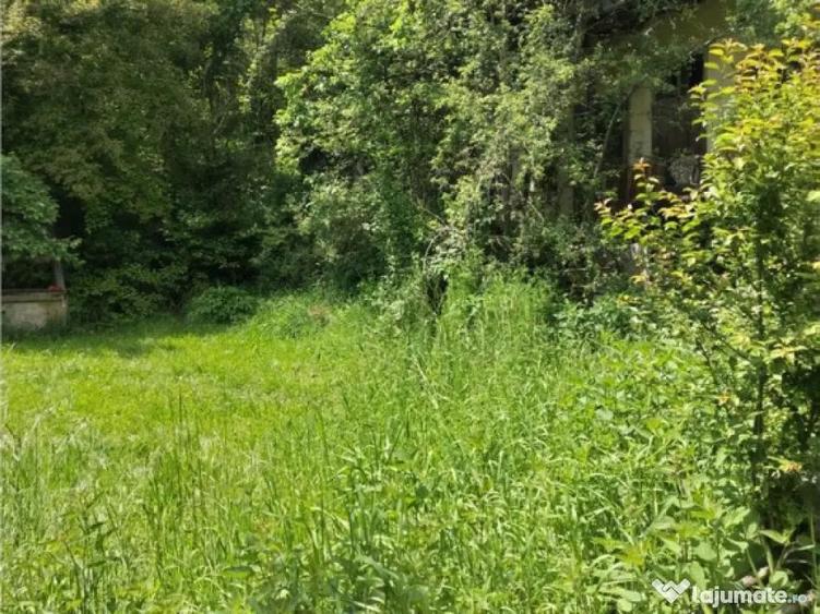 Domeniu verde autentic, 5.000mp, front la DJ, Valcele, Bra - 10