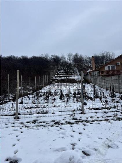 RECO teren intravilan Oradea - 1