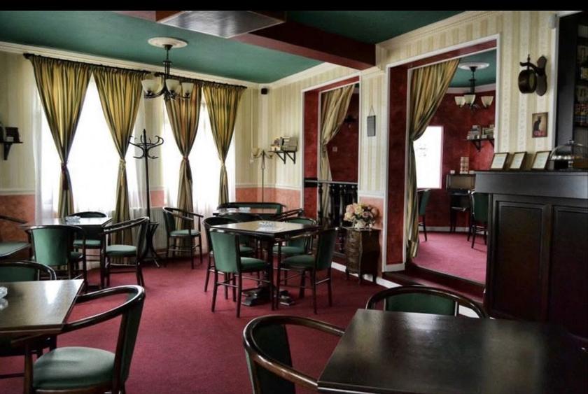 Inchiriez Casa-Spatiu Comercial-Zona Centrala-Vad Exceptional - 2