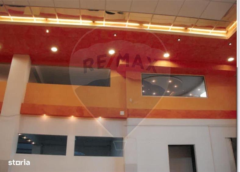 Spa?iu comercial de inchiriat Teiul Doamnei - 4