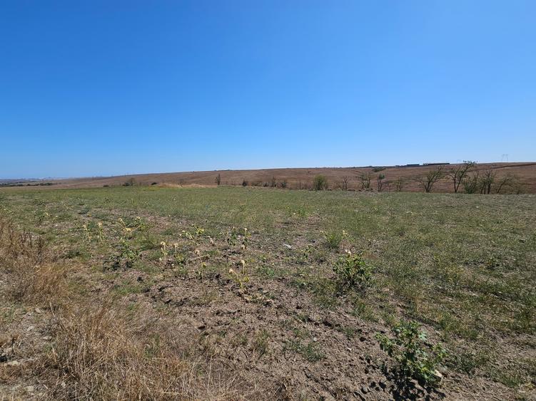 Teren Extravilan 10000 Mp Sibioara Constanta - 4