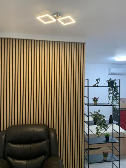 Apartament 1 camera Nicolina-Prima Statie, etaj 3, ideal investitie - 3