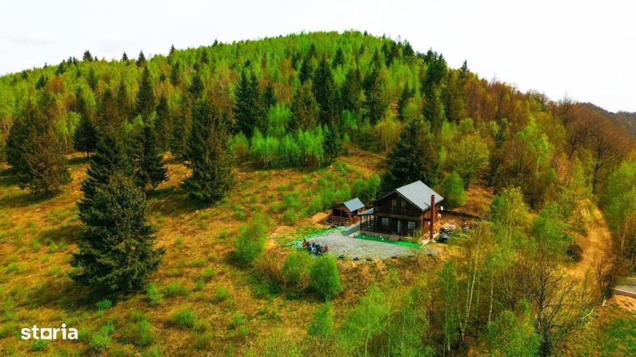 Cabana de vanzare in Muntii Apuseni Valea Ierii, jud. Cluj - 14