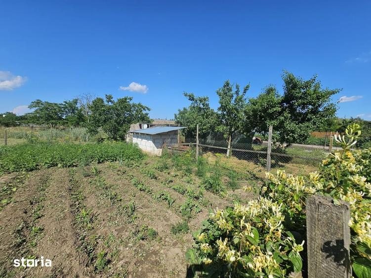 Proprietate exclusivista in Murighiol -Casa de vacanta in DeltaDunarii - 16