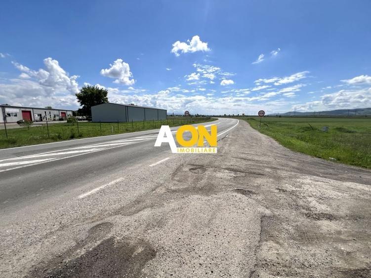 Teren Mixt Industrial de vanzare, 4660mp,  deschidere 41ml - 1