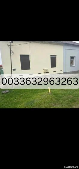 Casa de vinzare Peciu Nou - 7