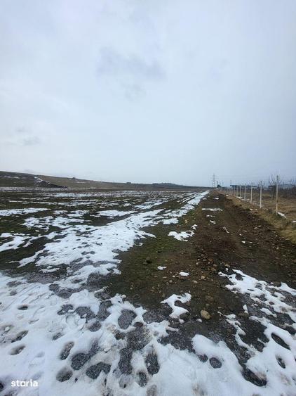 Teren indusitial pretabil pentru constructii hale - 2