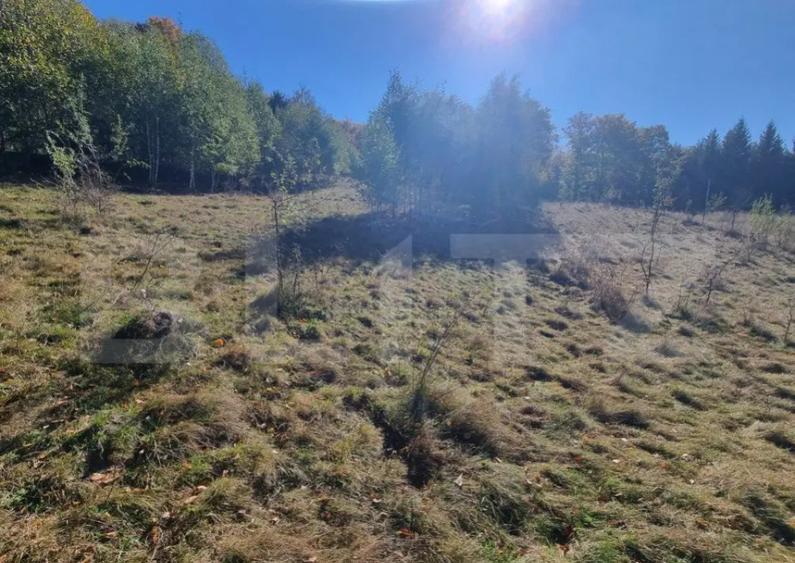 Teren pentru casute de vacanta - Poiana Marului - vedere la - 1