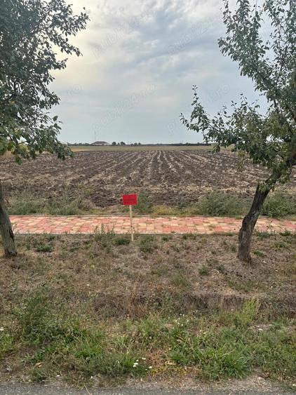 PROPRIETAR vand loc de casa 2528 str Scurta in Sannicolau Mare - 2