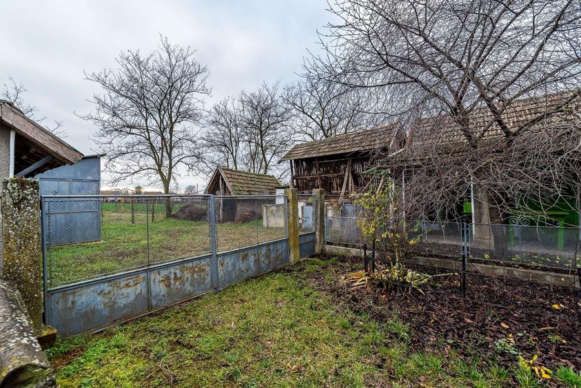 Casă + livadă tânără + curte 2.500 mp în Dorobanți - 12