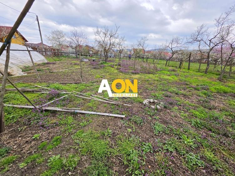 Teren intravilan parcelat, 1621 mp, cu casa demolabila, Barabant - 1