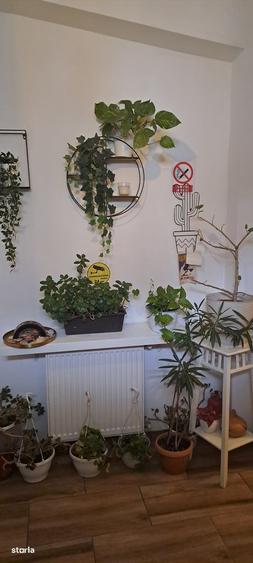 apartament in casa p+1, ultracentral - 1