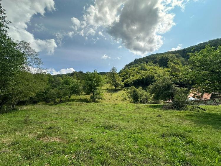 Teren 2 hectare pe Valea Ariesului, zona Scarita-Belioara, pret oportun 2 Eur/mp - 3