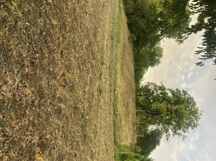 Casa de vanzare in Craiesti comuna Adamus - 1