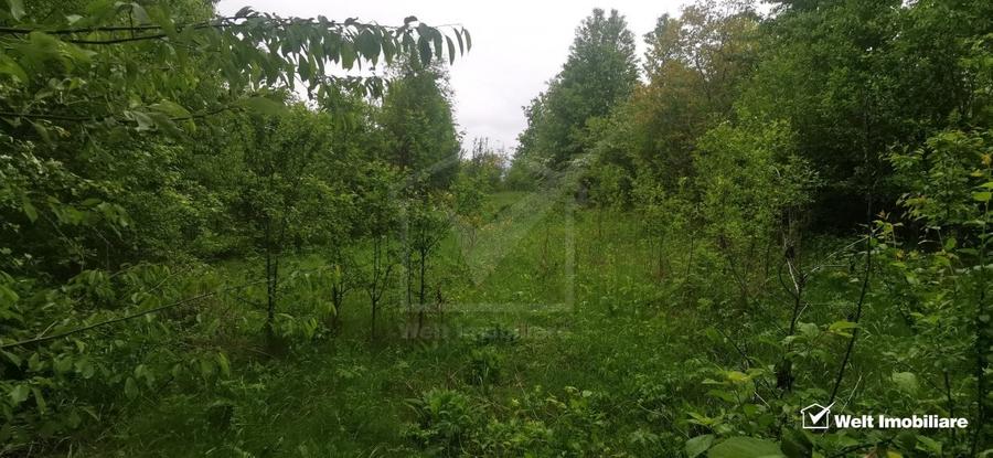 Ocazie!Teren intravilan in comuna Ciurila sat Saliste, priveliste - 2