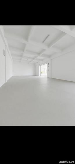 inchiriez hala calea borsului - 3