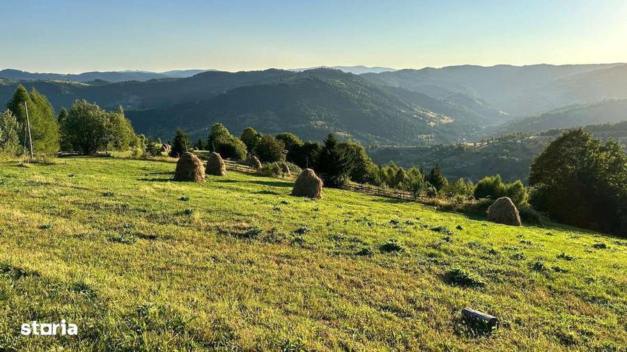 Teren Comuna Horea 17278m2. Apuseni - 7