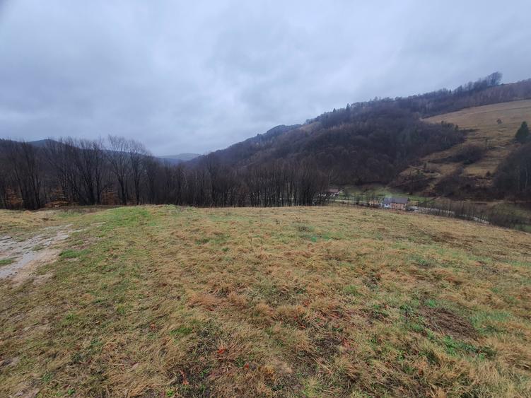 Teren Poiana Marului pretabil investitie 5 euro/mp - 6