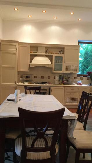 Ultracentral,vila S+P+E,faleza Dunarii,langa parc,Primaria Corabia,teren=1137mp - 14