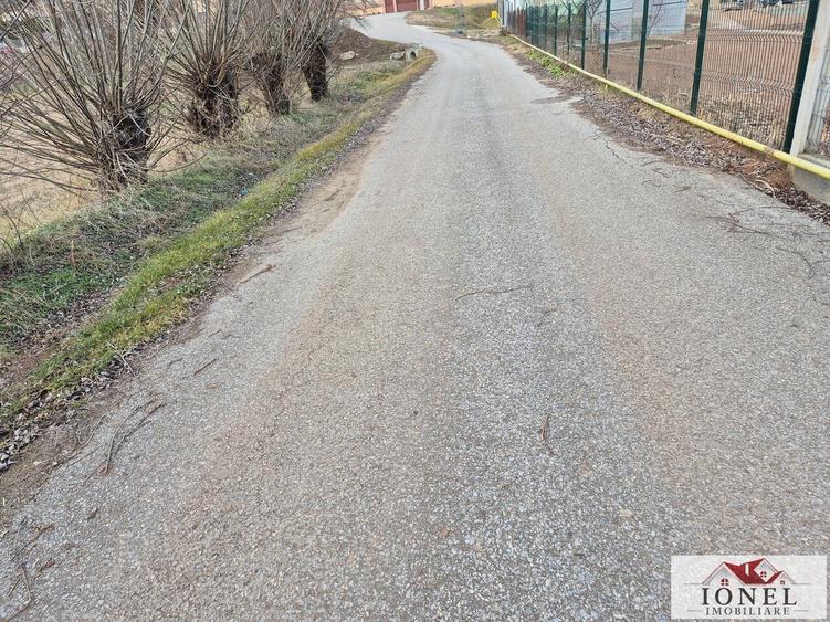 Vanzare 6336 mp teren parcelabil in Ciugud - Hapria - 2