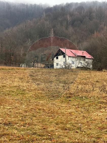 Teren 7,135mp Negreni / DN E60 - 5