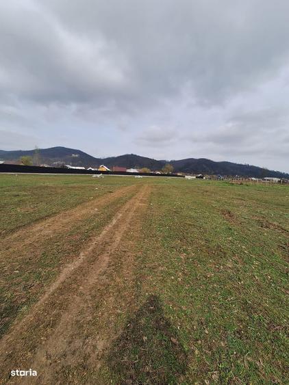 Oportunitate Investitionala Rara: Teren Intravilan17.500mp in Tg.Neamt - 7