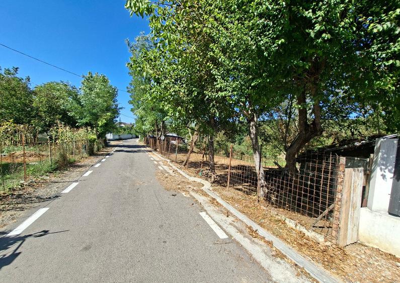 Teren curatat de vegetatie, 1600mp, strada Musat Voda nr. 26-28, Teren curatat de vegetatie, 1600mp, strada Musat Voda nr. 26-28,