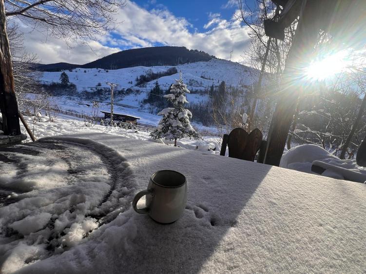 Vanzare – Teren intravilan | Valea Doftanei – Trăisteni | Priveliște munte - 4