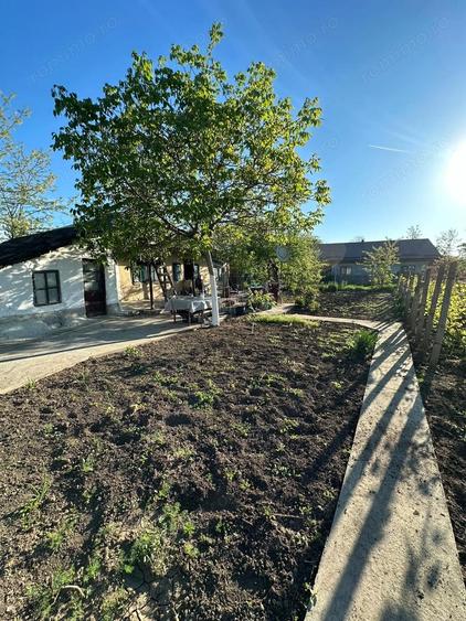 Direct proprietar: Casa demolabila + teren 1167 mp - 10