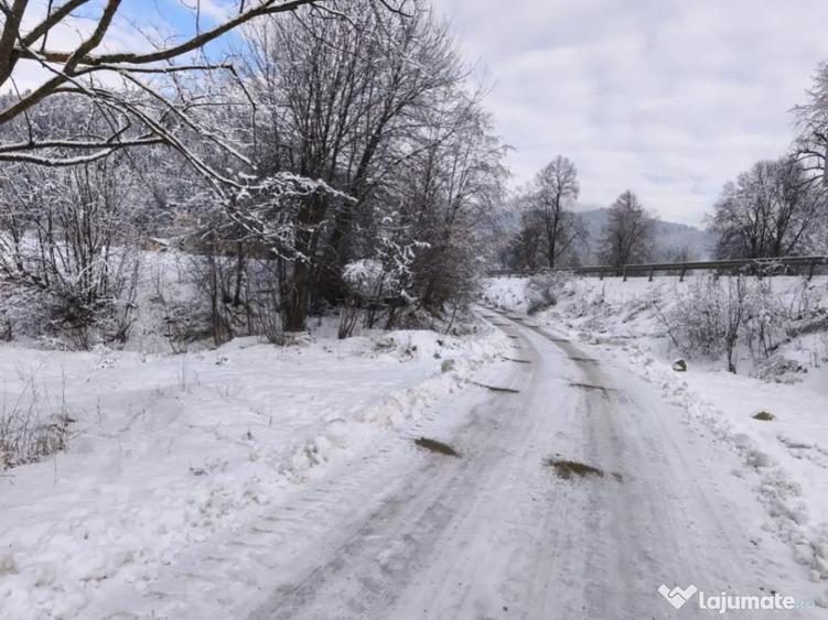 Teren intravilan, 22600mp, zona Manastirea Sucevita - 7