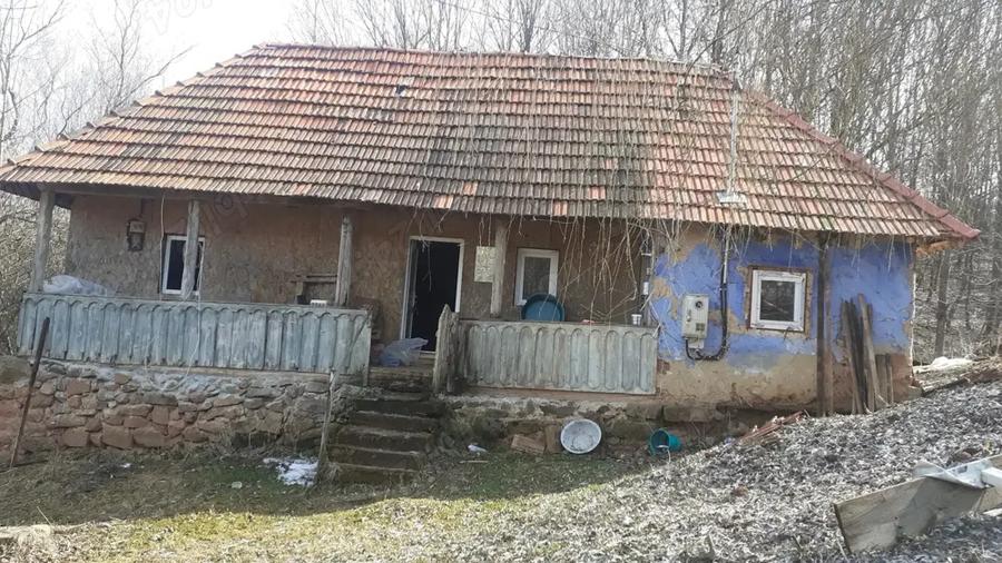 Vand casa ?araneasca din lemn. - 5