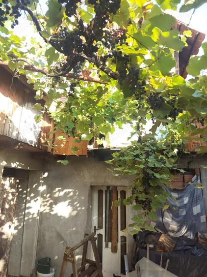 Casa de vanzare Comana Oituz jud Bacau - 5