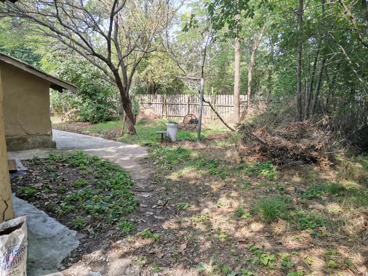 Vanzare casa batraneasca+teren - 5