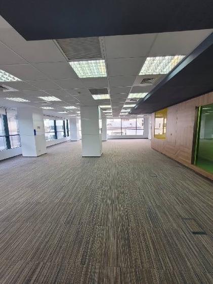 Casa Daneza, Icoanei, 259 - 632 mp  0% comision! - 14