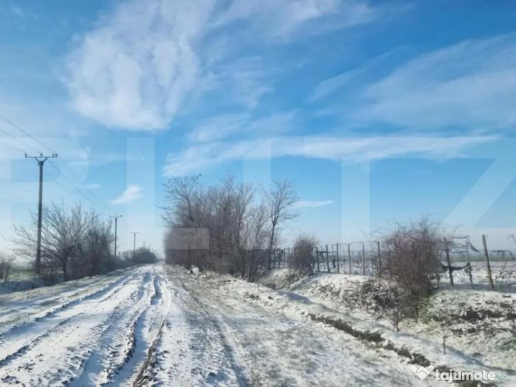 Teren cu livada Nuci- Oportunitate investitie- CioraniPh - 4